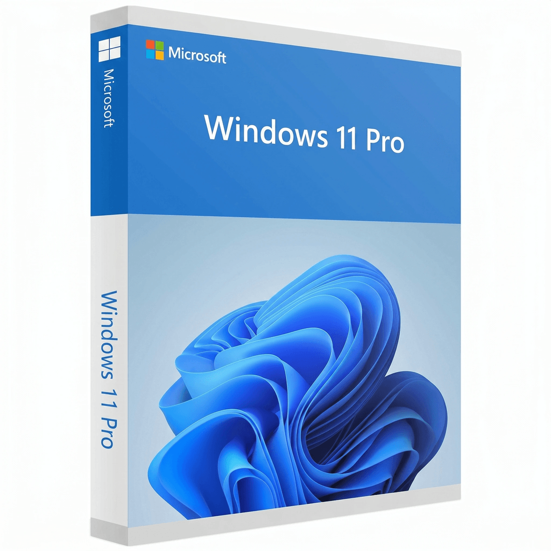 Windows 11 Pro