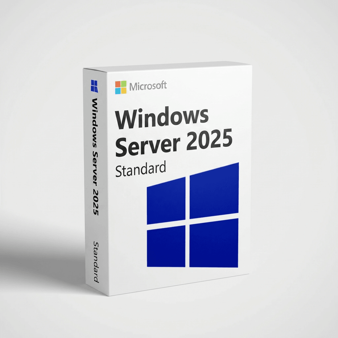 Windows Server 2025 Standard — Lifetime License